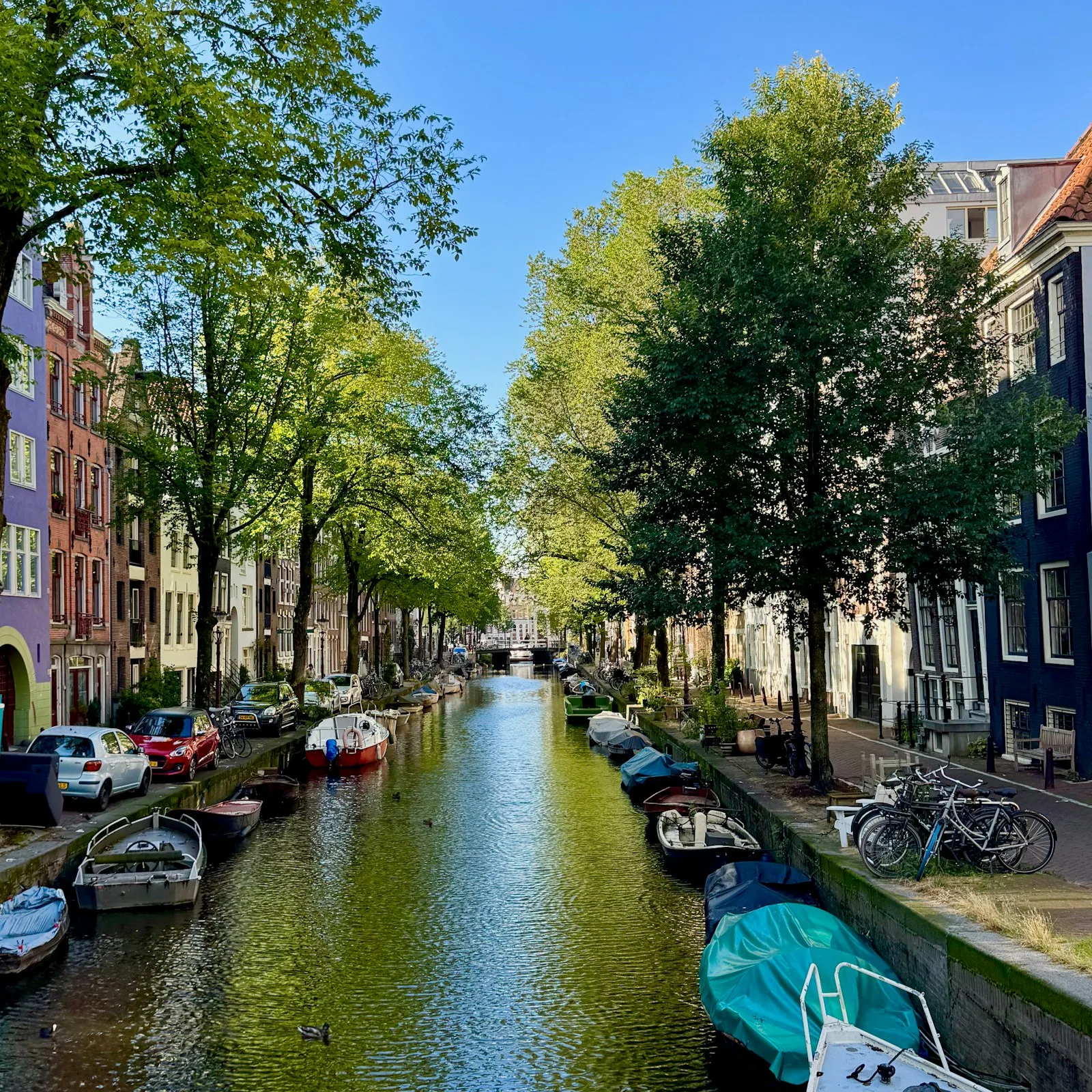 Canal arbolado y puentes históricos para un viaje relajado de una semana por Europa