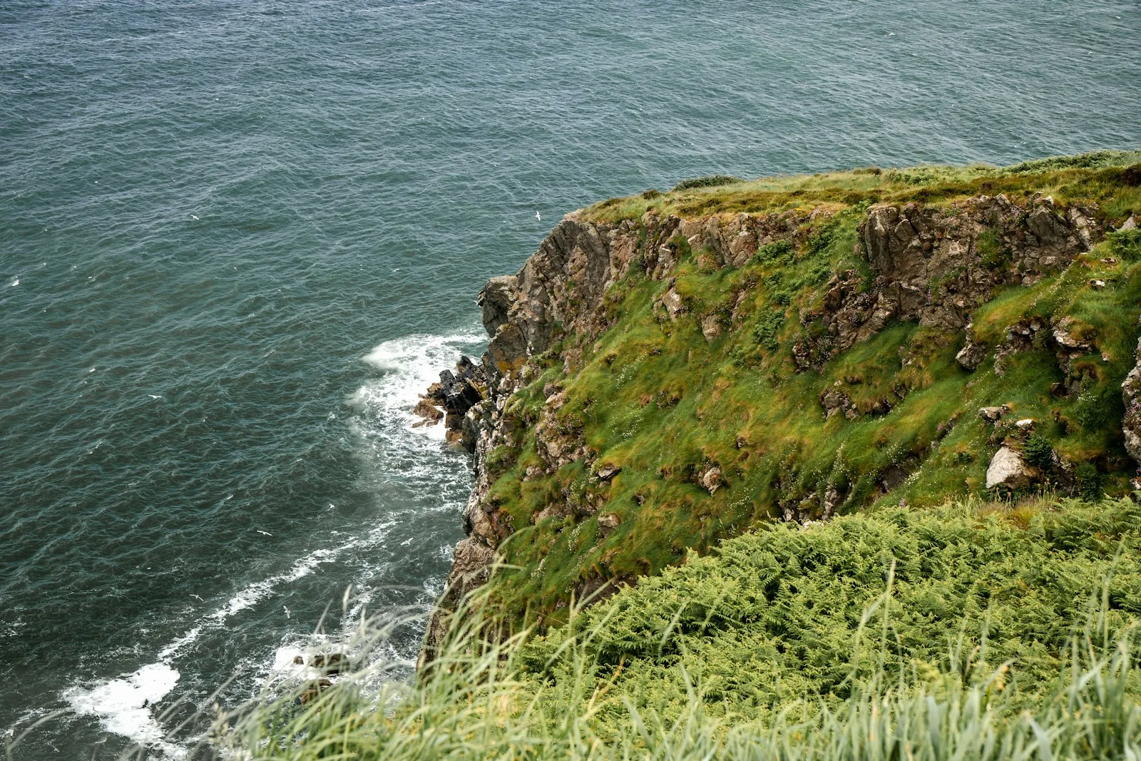 Sendero escarpado sobre los acantilados atlánticos de Howth con vistas a la bahía de Dublín